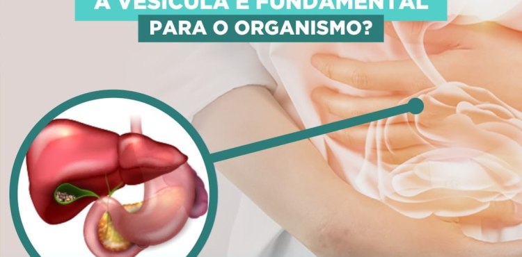 A vesícula é fundamental para o organismo?