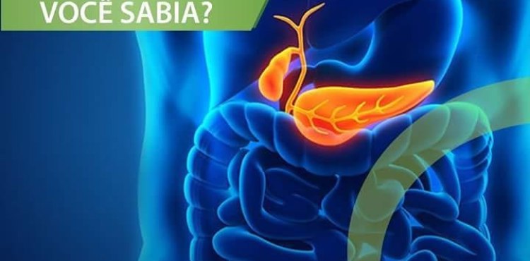 VOCÃŠ SABIA?
