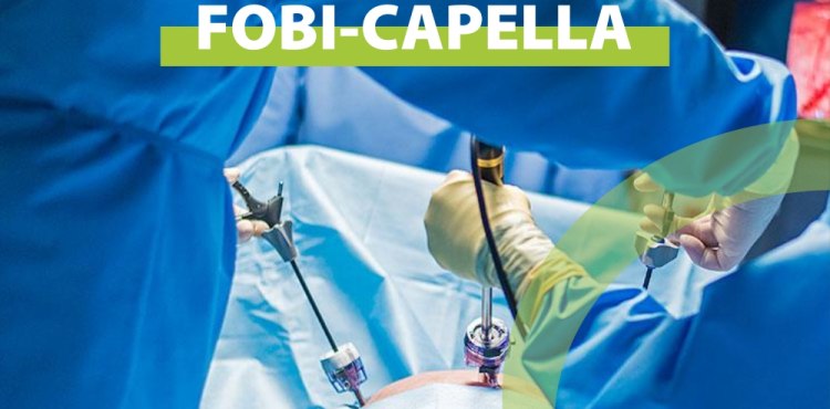 Cirurgia de Fobi-Capella