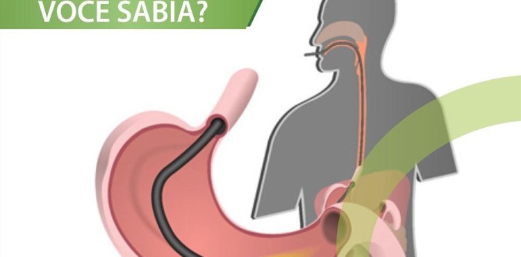 VOCÃŠ SABIA?