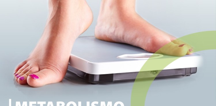 Metabolismo Lento